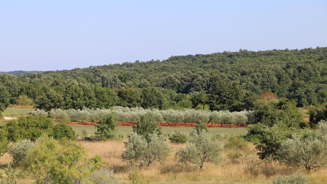 Casa Conte Istria Villa Kanfanar Kültér fotó