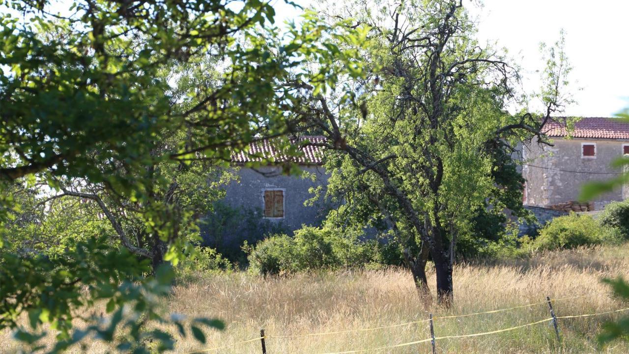 Casa Conte Istria Villa Kanfanar Kültér fotó