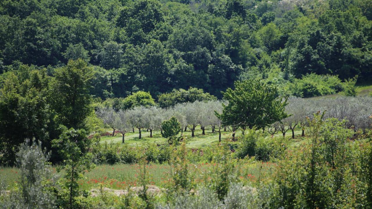Casa Conte Istria Villa Kanfanar Kültér fotó