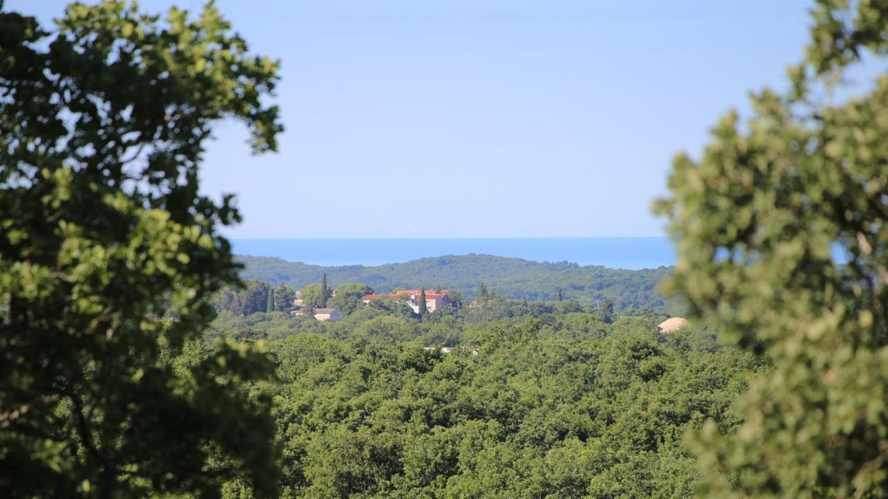 Casa Conte Istria Villa Kanfanar Kültér fotó
